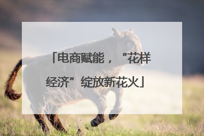 电商赋能，“花样经济”绽放新花火
