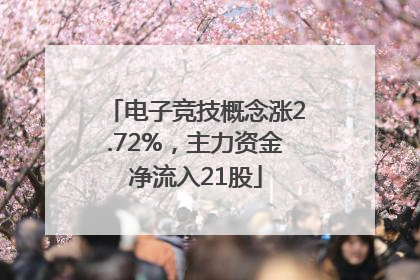 电子竞技概念涨2.72%，主力资金净流入21股