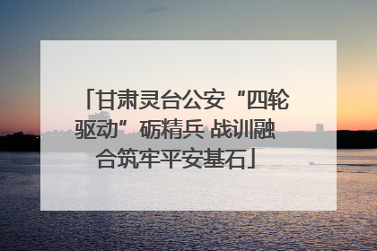 甘肃灵台公安“四轮驱动”砺精兵 战训融合筑牢平安基石