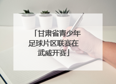 甘肃省青少年足球片区联赛在武威开赛