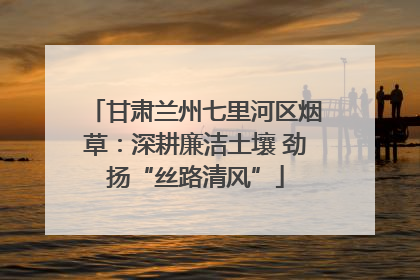 甘肃兰州七里河区烟草：深耕廉洁土壤 劲扬“丝路清风”