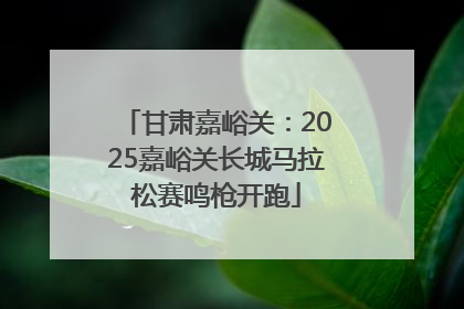 甘肃嘉峪关：2025嘉峪关长城马拉松赛鸣枪开跑