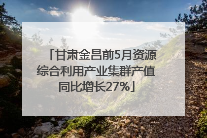 甘肃金昌前5月资源综合利用产业集群产值同比增长27%