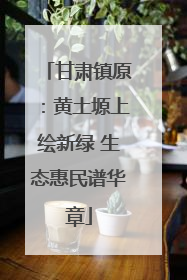 甘肃镇原：黄土塬上绘新绿 生态惠民谱华章