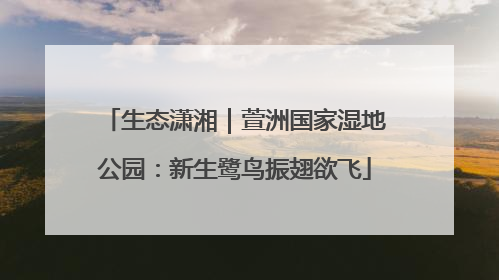 生态潇湘｜萱洲国家湿地公园：新生鹭鸟振翅欲飞