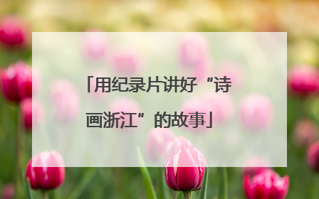 用纪录片讲好“诗画浙江”的故事