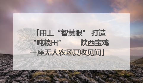 用上“智慧眼” 打造“吨粮田”——陕西宝鸡一座无人农场夏收见闻
