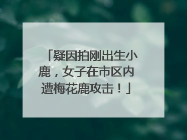 疑因拍刚出生小鹿，女子在市区内遭梅花鹿攻击！