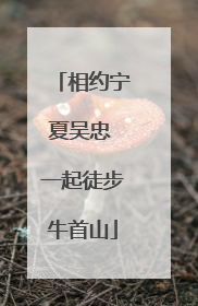 相约宁夏吴忠 一起徒步牛首山