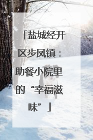 盐城经开区步凤镇：助餐小院里的“幸福滋味”