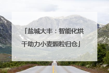 盐城大丰：智能化烘干助力小麦颗粒归仓