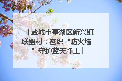 盐城市亭湖区新兴镇联盟村：密织“防火墙”守护蓝天净土
