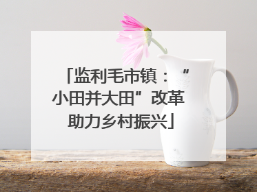 监利毛市镇：“小田并大田”改革 助力乡村振兴