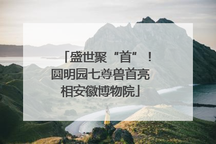 盛世聚“首”！圆明园七尊兽首亮相安徽博物院