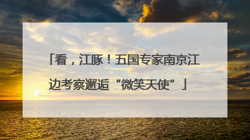 看，江豚！五国专家南京江边考察邂逅“微笑天使”