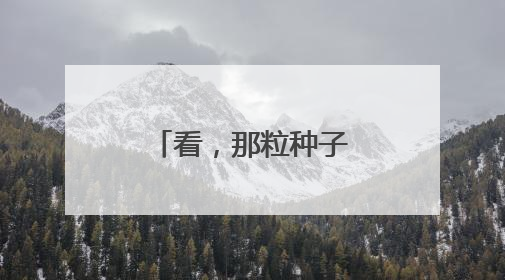 看，那粒种子正在向阳成长