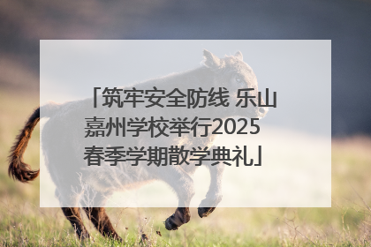 筑牢安全防线 乐山嘉州学校举行2025春季学期散学典礼
