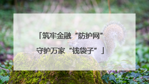 筑牢金融“防护网” 守护万家“钱袋子”