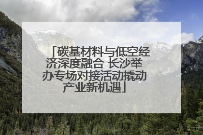 碳基材料与低空经济深度融合 长沙举办专场对接活动撬动产业新机遇