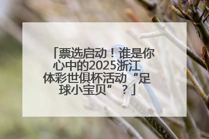 票选启动！谁是你心中的2025浙江体彩世俱杯活动“足球小宝贝”？
