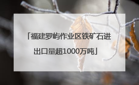 福建罗屿作业区铁矿石进出口量超1000万吨