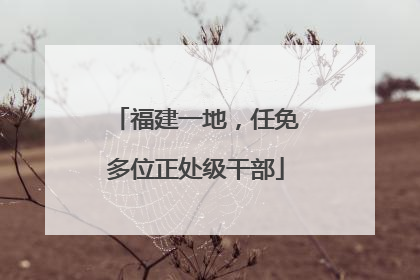 福建一地，任免多位正处级干部