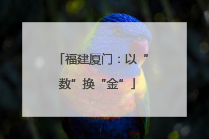 福建厦门：以“数”换“金”