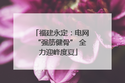 福建永定：电网“强筋健骨” 全力迎峰度夏