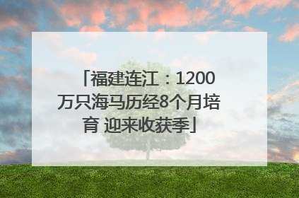 福建连江：1200万只海马历经8个月培育 迎来收获季