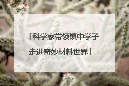 科学家带领镇中学子走进奇妙材料世界
