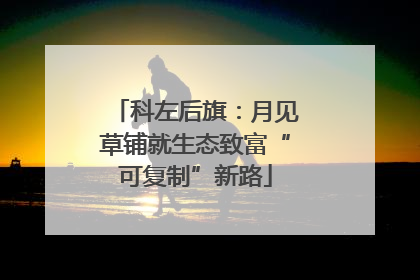 科左后旗：月见草铺就生态致富“可复制”新路