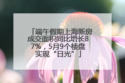 端午假期上海新房成交面积同比增长87%，5月9个楼盘实现“日光”