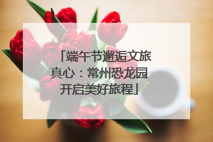 端午节邂逅文旅真心：常州恐龙园开启美好旅程