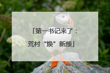 第一书记来了：荒村“焕”新颜