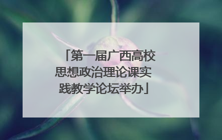 第一届广西高校思想政治理论课实践教学论坛举办
