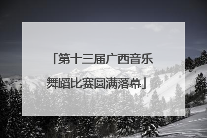 第十三届广西音乐舞蹈比赛圆满落幕