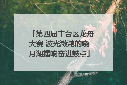 第四届丰台区龙舟大赛 波光潋滟的晓月湖擂响奋进鼓点