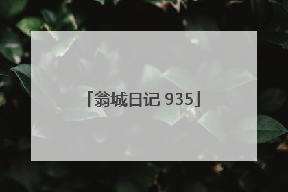 翁城日记 935