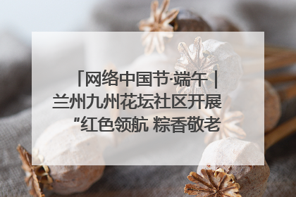 网络中国节·端午｜兰州九州花坛社区开展“红色领航 粽香敬老”端午主题活动