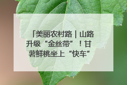 美丽农村路｜山路升级“金丝带”！甘薯鲜桃坐上“快车”，开去大市场