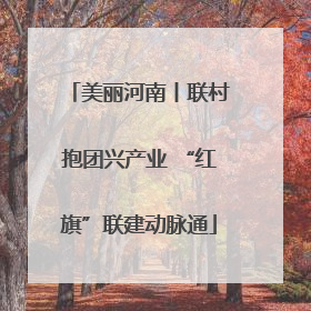 美丽河南丨联村抱团兴产业 “红旗”联建动脉通
