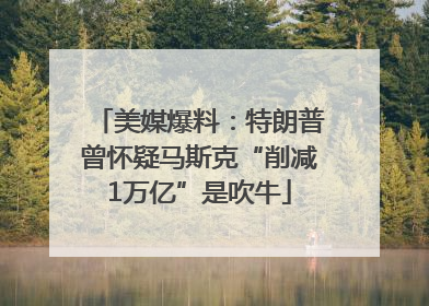 美媒爆料：特朗普曾怀疑马斯克“削减1万亿”是吹牛
