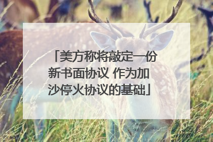 美方称将敲定一份新书面协议 作为加沙停火协议的基础