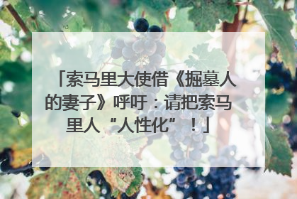 索马里大使借《掘墓人的妻子》呼吁：请把索马里人“人性化”！