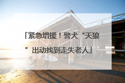 紧急增援！警犬“天狼”出动找到走失老人