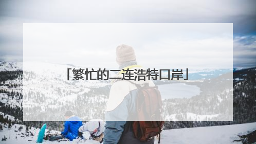 繁忙的二连浩特口岸