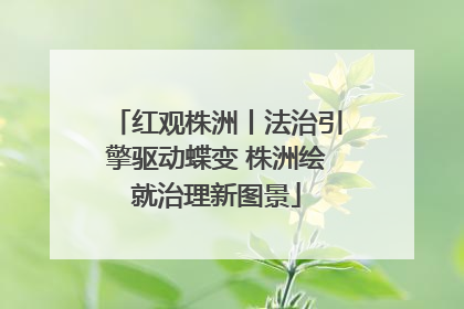 红观株洲丨法治引擎驱动蝶变 株洲绘就治理新图景