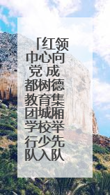 红领巾心向党 成都树德教育集团城厢学校举行少先队入队仪式