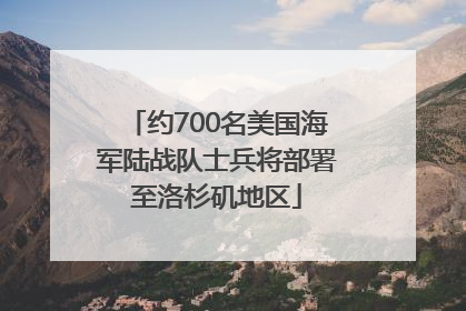 约700名美国海军陆战队士兵将部署至洛杉矶地区
