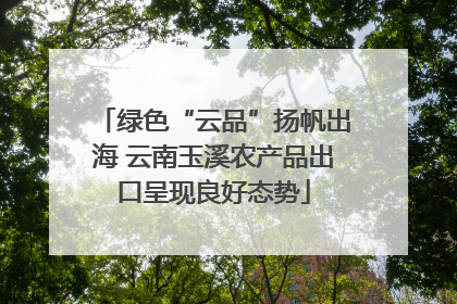 绿色“云品”扬帆出海 云南玉溪农产品出口呈现良好态势